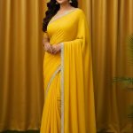 মাইক্রো জর্জেট স্টোন শাড়ি