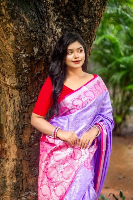 Purple & Pink Kanjivaram Katan Silk Saree for Wedding & Festival | Soft Silk Exclusive Collection